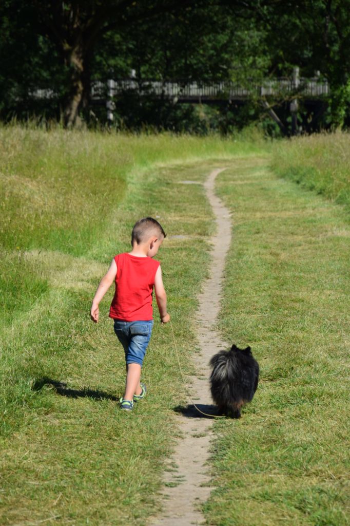 Pinax de la ferme des petits molosses